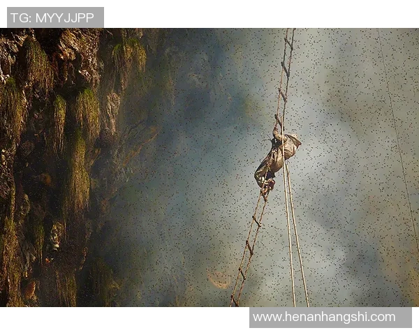 武汉攀岩队引领热潮探索攀岩运动的节奏与变革之路